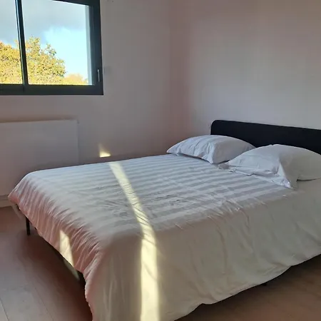 Maison Contemporaine Avec Piscine Et *